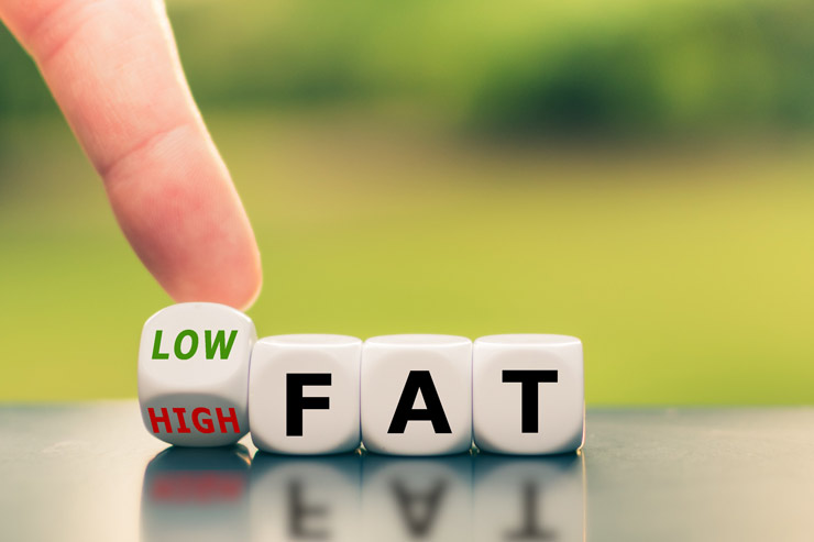 Low fat three cubes displaying the word "FAT", the cube in front is tilted with the finger and either "LOW" or "HIGH"-FAT appears