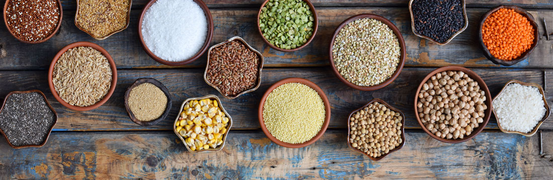 Selection of protein sources: cereals, grains, beans, seeds, lentils, corn, uncooked state