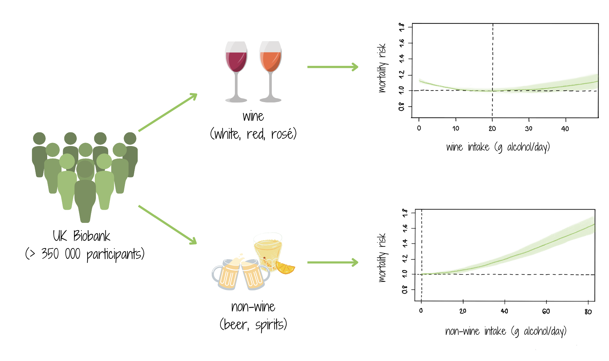 Effect of wine and non-wine on mortality