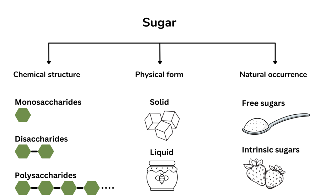 Sugar Overview of different categories of sugar