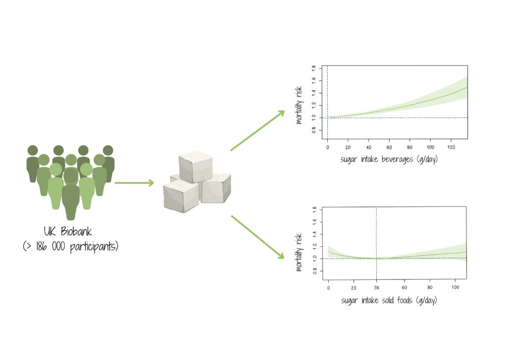sugar Sugar and mortality risk info graph